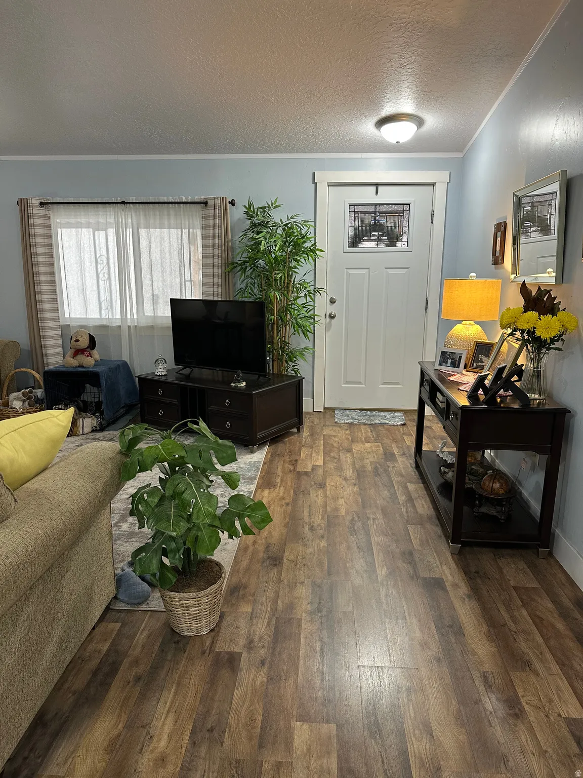 Entryway featuring a textured ceiling, ornamental molding, and dark wood-style floors