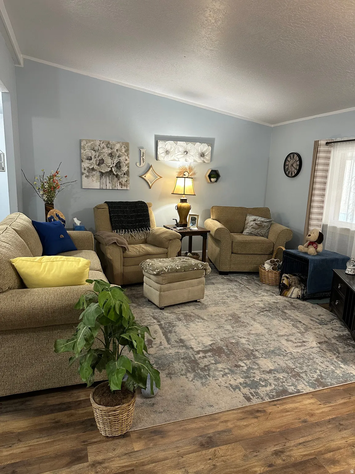 Living area featuring ornamental molding, a textured ceiling, and dark wood-style floors