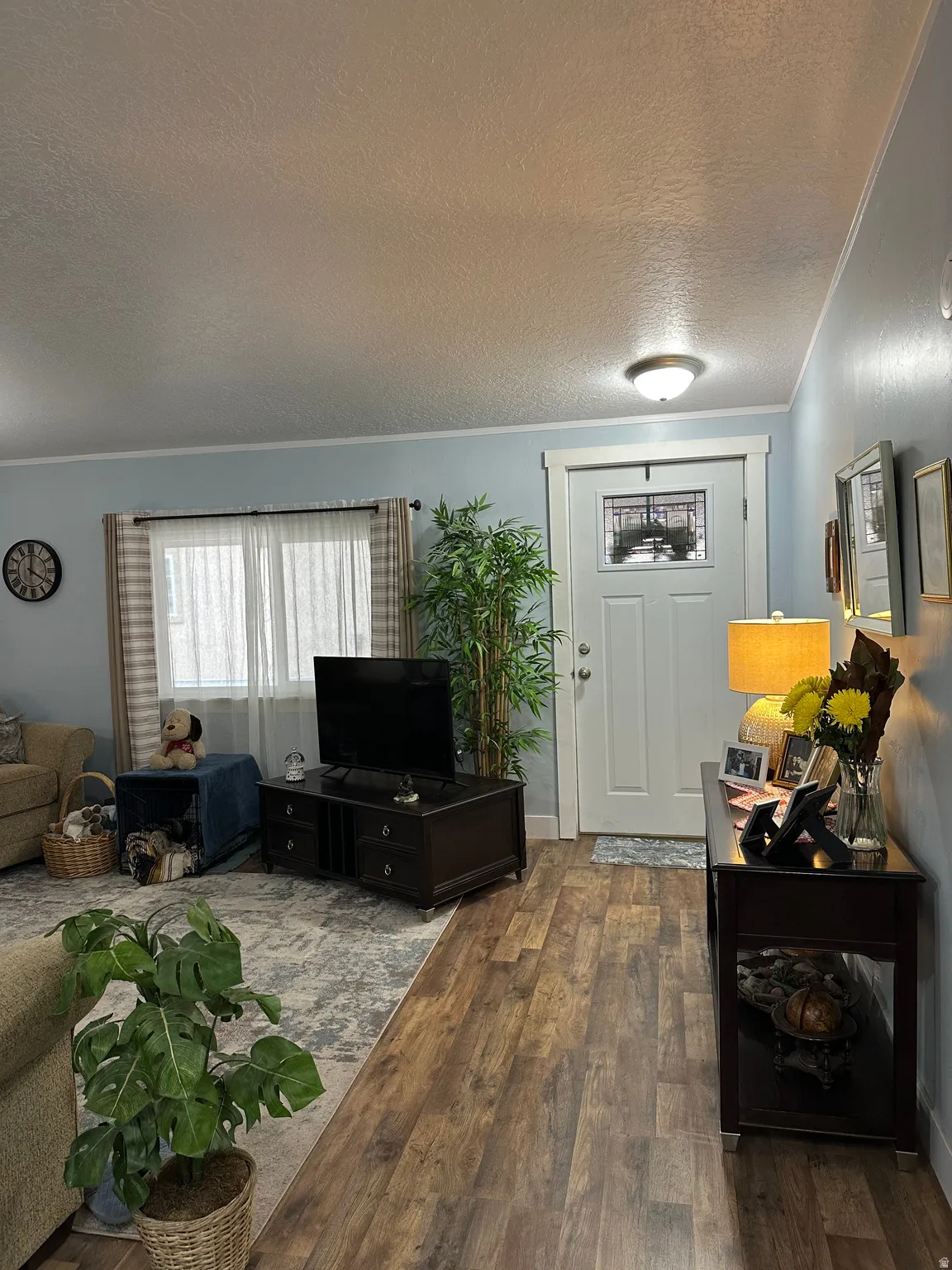 Living room featuring a textured ceiling, hardwood / wood-style flooring, and crown molding