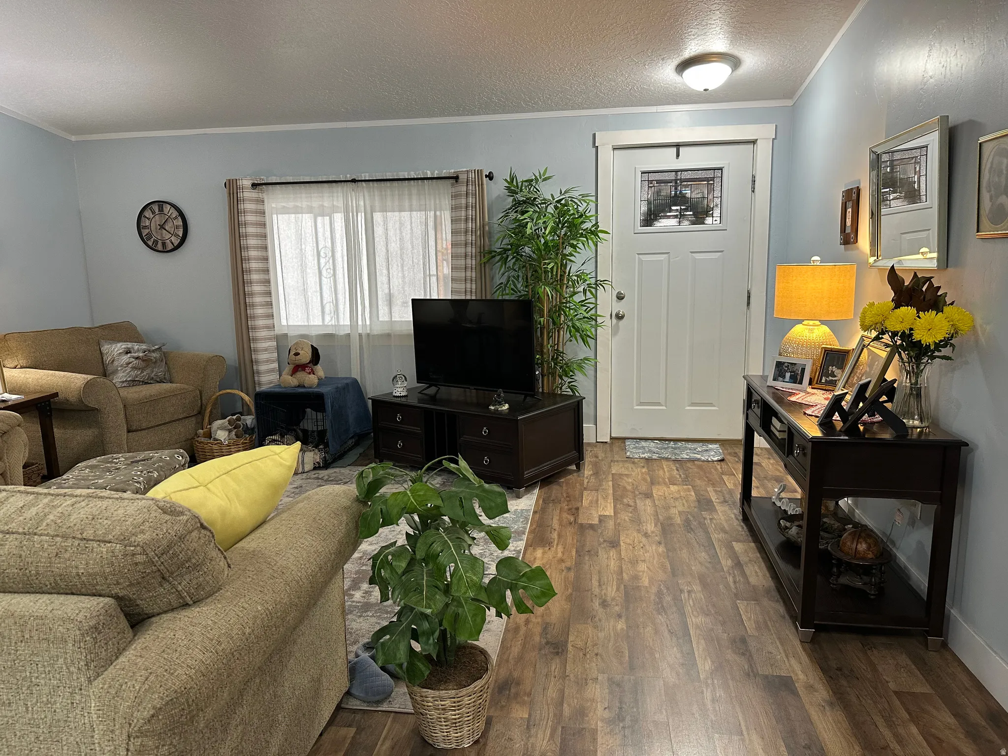 Living room featuring hardwood / wood-style floors, ornamental molding, and a textured ceiling