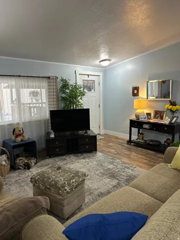 Living area featuring a textured ceiling, wood finished floors, and ornamental molding