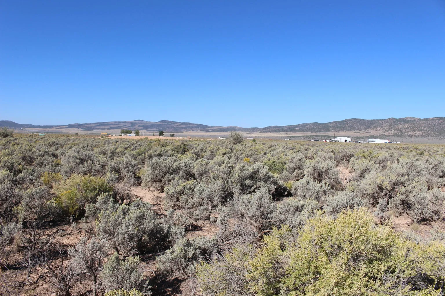 View of mountain background with a heavily wooded area