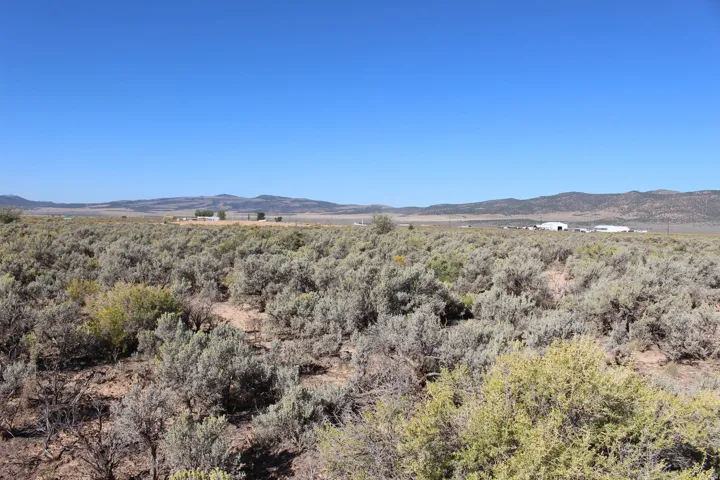 View of mountain background with a heavily wooded area
