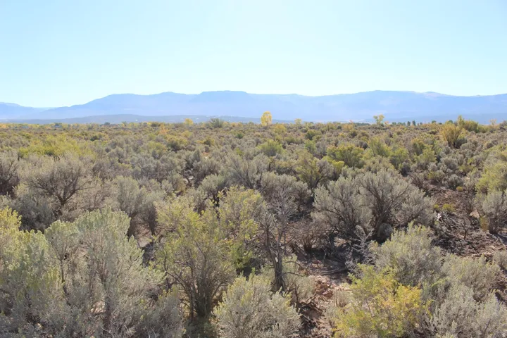 View of mountain backdrop featuring a heavily wooded area