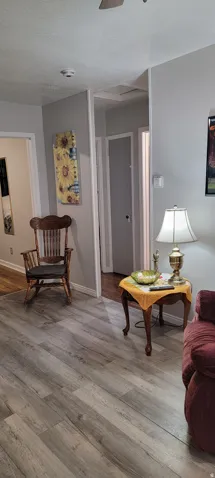 Living area featuring wood finished floors and a ceiling fan