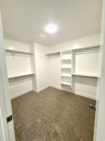 Spacious walk-in closet with carpet flooring, built-in shelving, and multiple clothing rods
