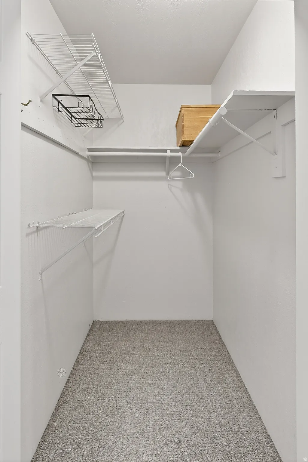 Spacious closet featuring light colored carpet