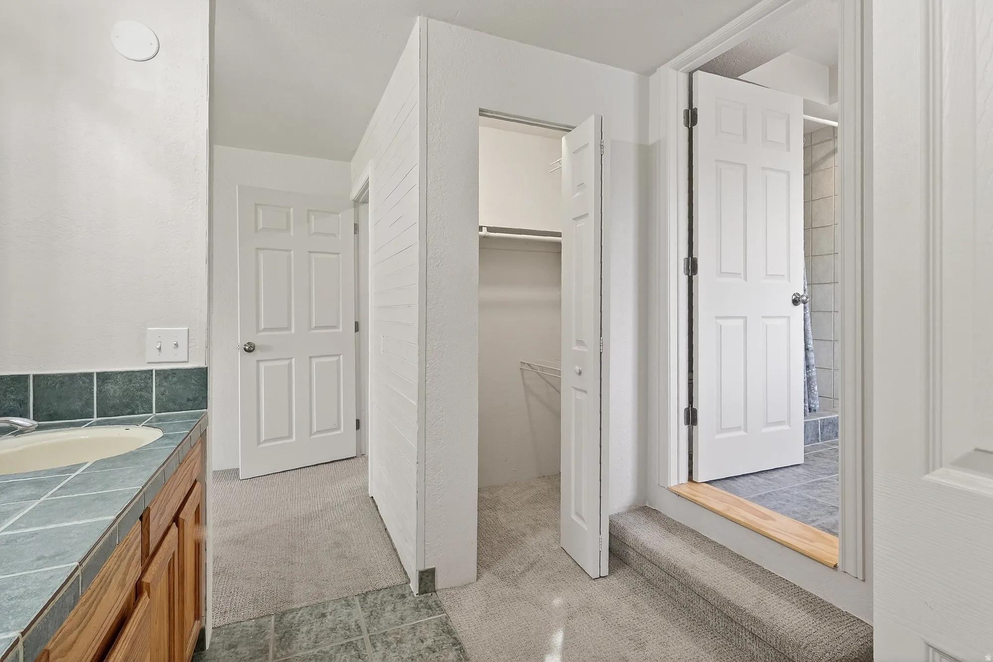 Bathroom with light carpet, vanity, and a spacious closet