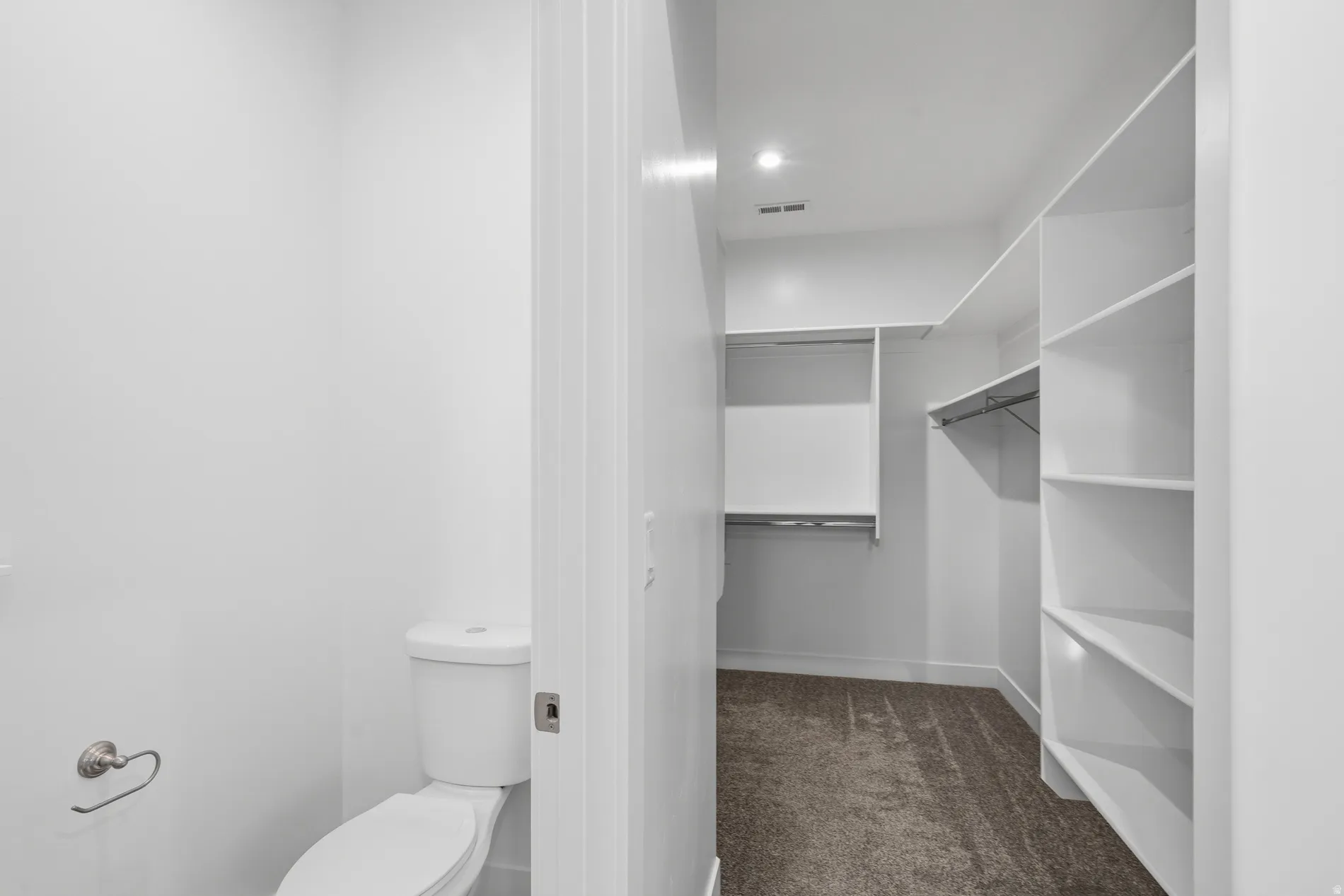 Bathroom with dark colored carpet and a spacious closet