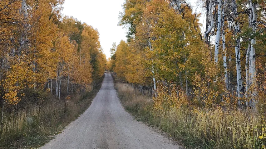 View of dirt / gravel road