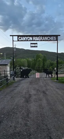 View of road featuring a view of countryside, a gated entry, and a gate