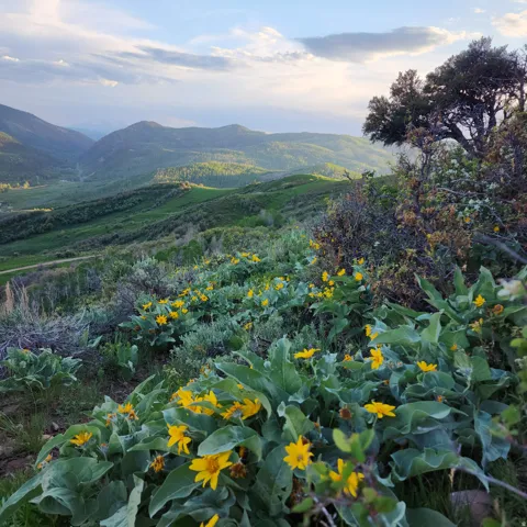 View of mountain background