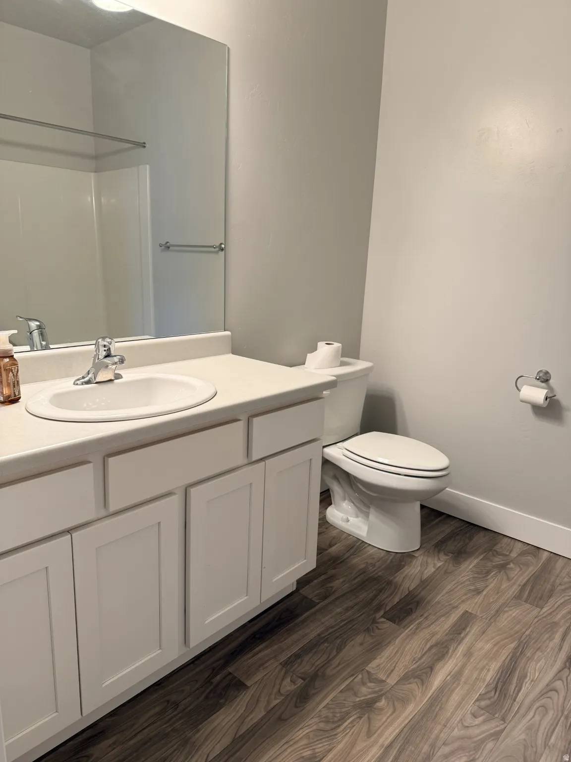 Full bathroom featuring vanity, dark wood-style flooring, and a shower
