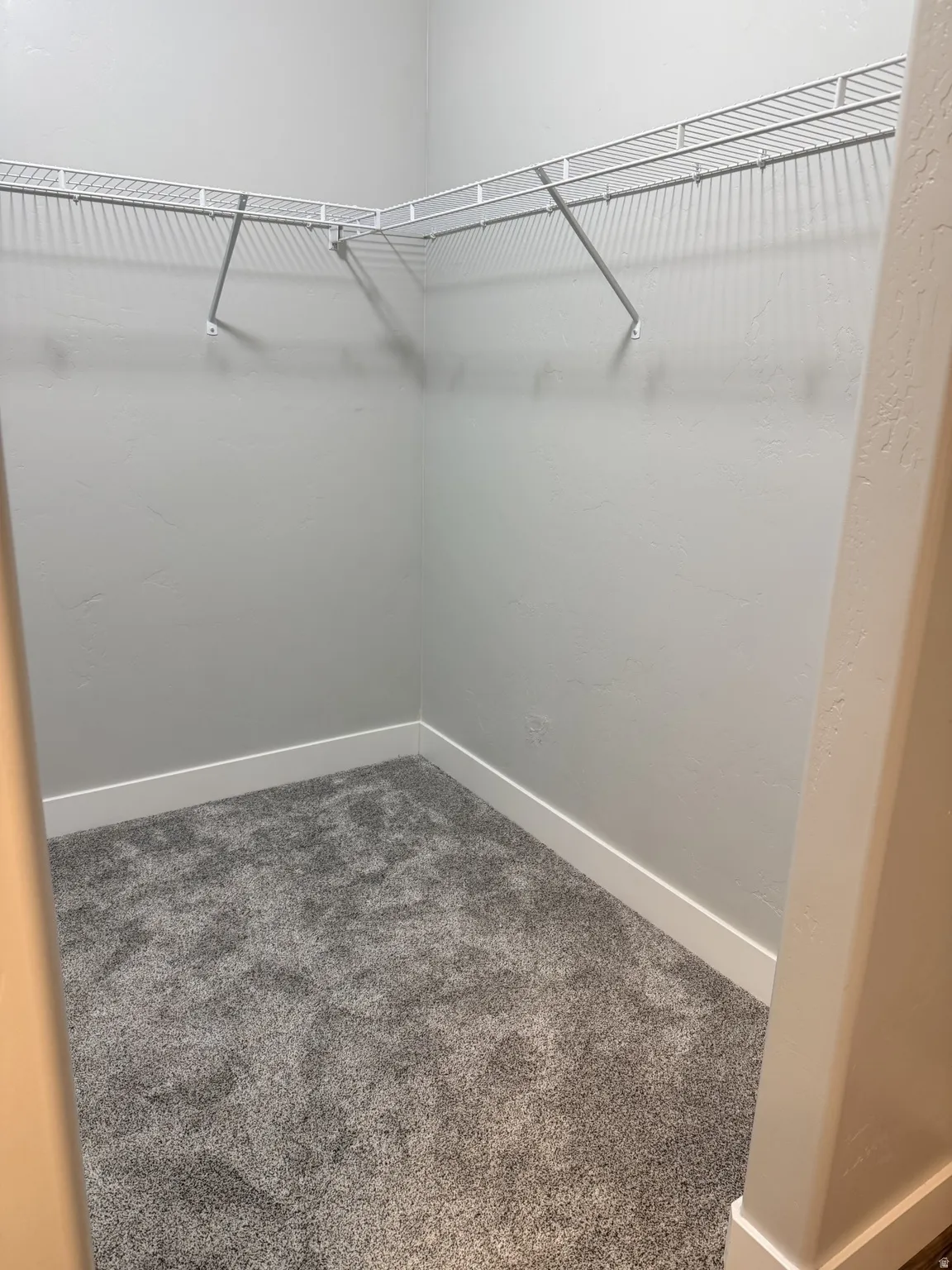 Walk in closet featuring dark colored carpet