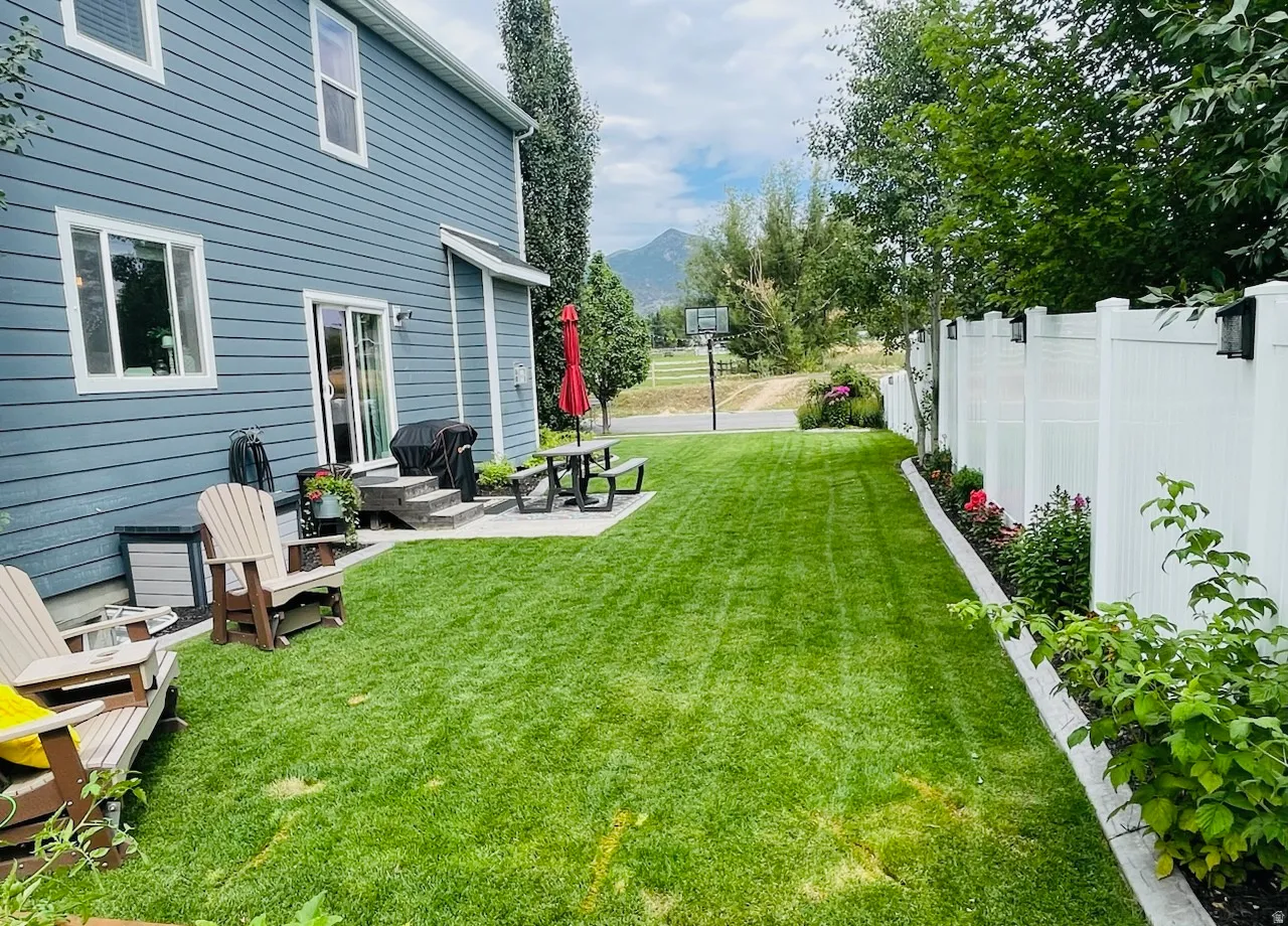 Springtime backyard with a patio area and a mountain view