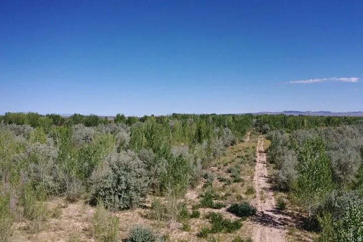 Expansive natural landscape featuring a clear blue sky, varied green foliage, and a defined dirt path