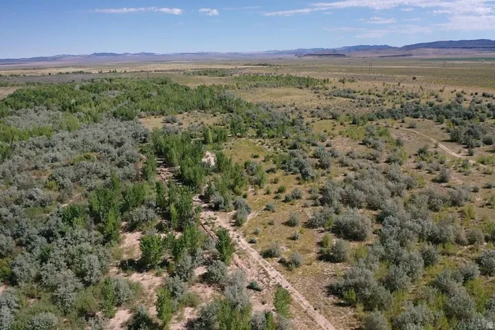 Expansive undeveloped land featuring diverse vegetation, including clusters of mature trees and widespread shrubs
