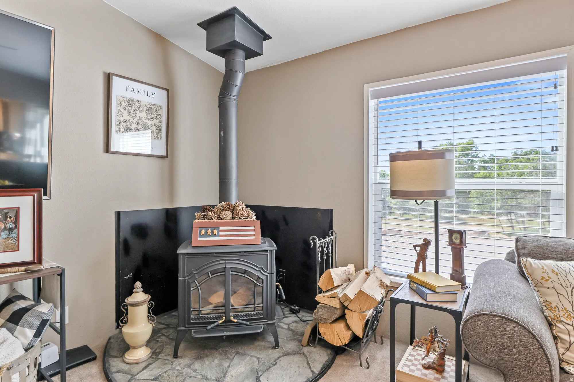 Detailed view of a wood stove and carpet flooring