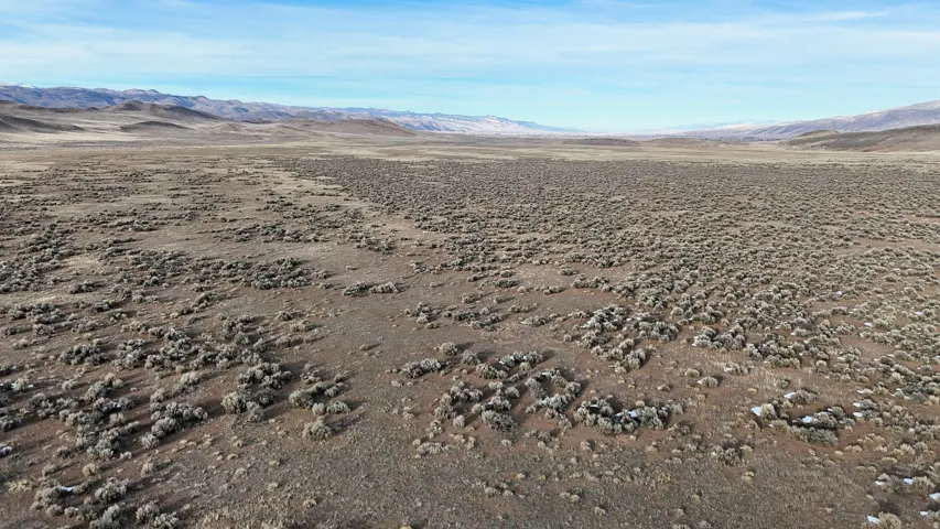 View of mountain background featuring a desert landscape