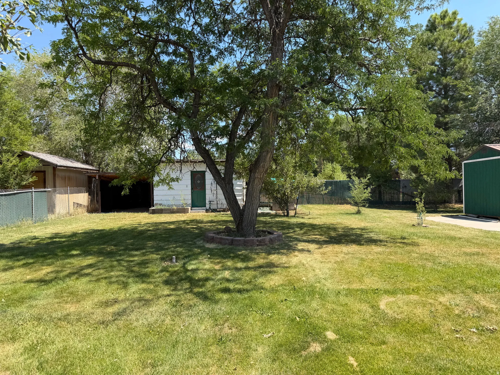 Expansive grassy yard featuring a prominent mature tree with a stone-edged planting area, a white utility building with a green door, a second open-front shed structure, and a green metal fence line