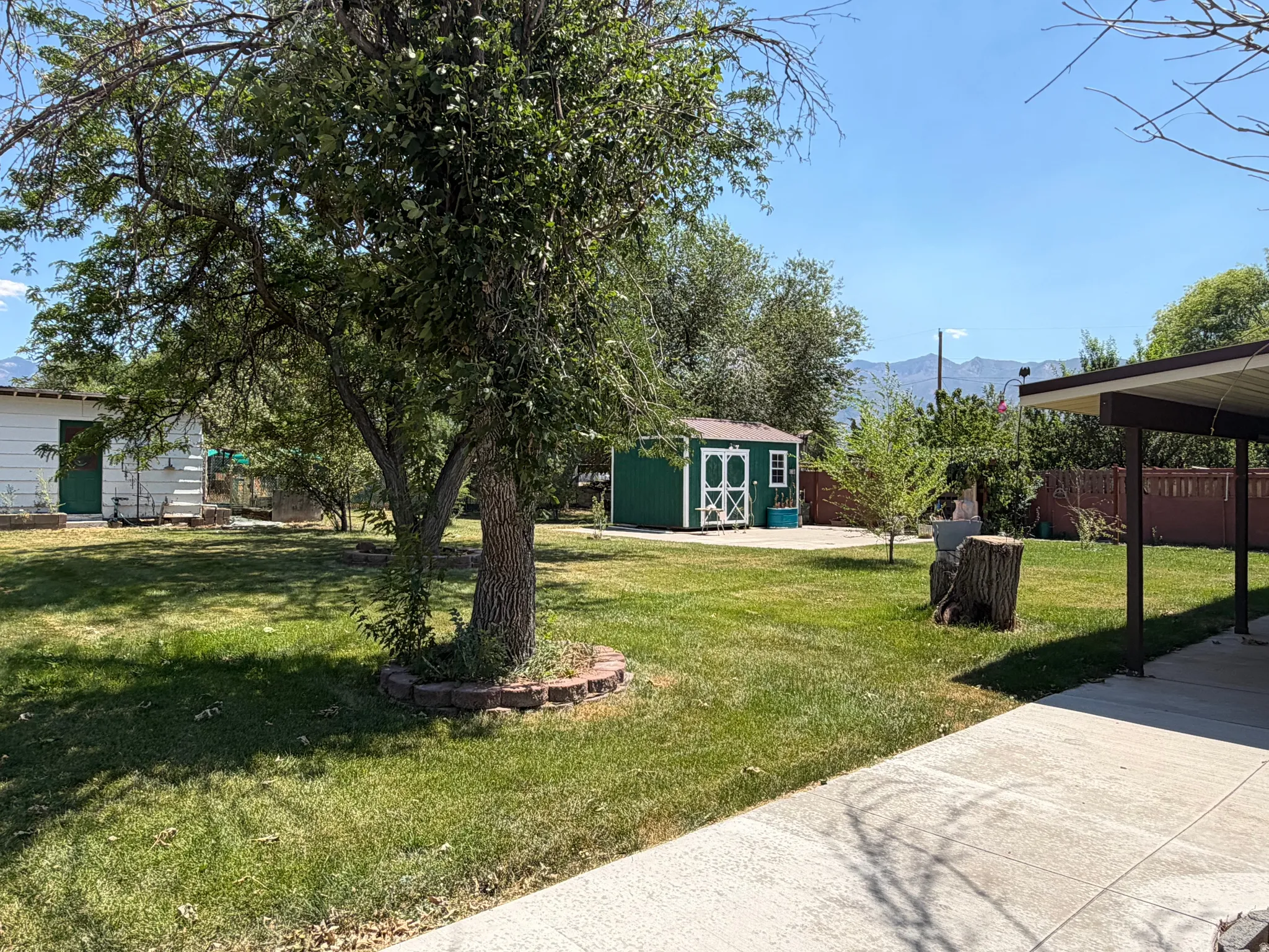 Expansive backyard featuring a manicured lawn, mature trees, a green storage shed with white trim, and a concrete patio extending from a covered structure