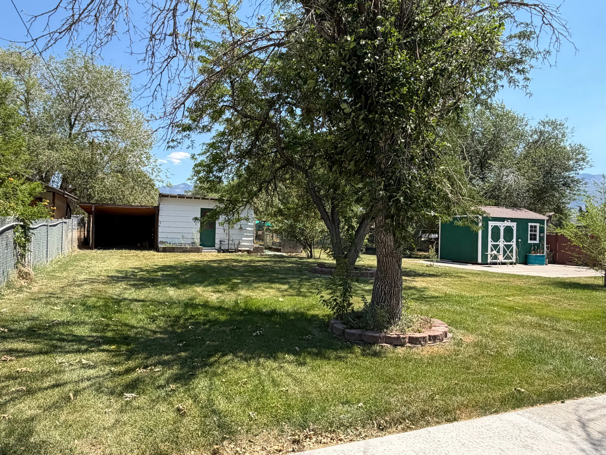 Expansive green lawn with mature shade trees, chain-link fencing, a covered carport structure, and a detached green storage shed