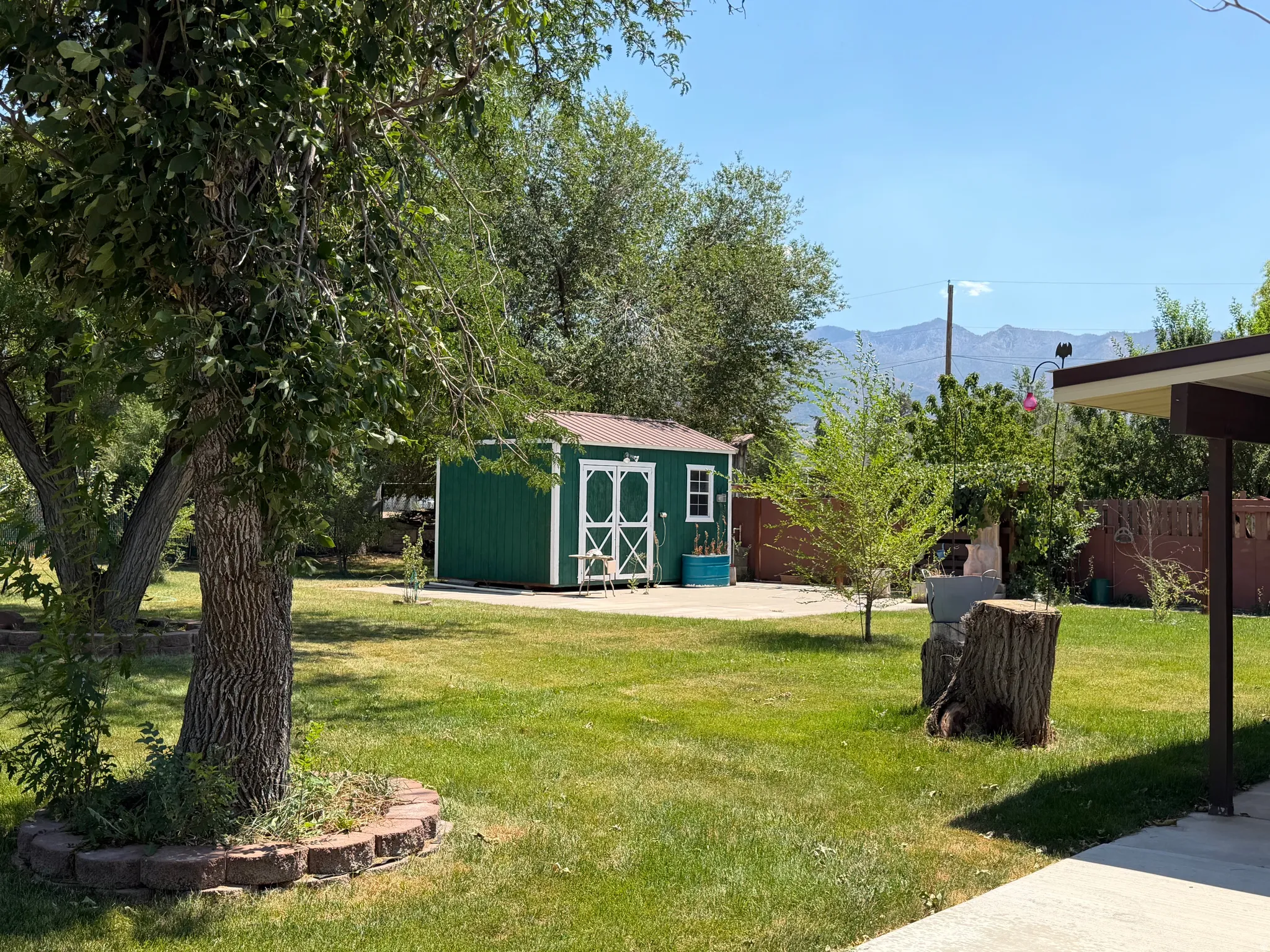 Spacious rear yard with a green storage shed, mature trees, and concrete patio areas