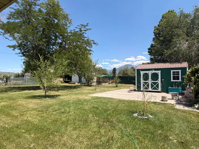 Expansive backyard featuring a green storage shed with white double doors and a brown metal roof, mature trees, a concrete patio area, and distant mountain scenery