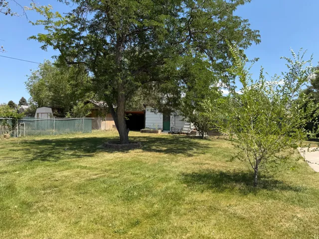 Expansive lawn area featuring mature trees and a chain-link fence