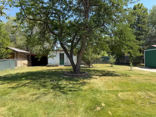 Expansive grassy yard featuring a prominent mature tree with a stone-edged planting area, a white utility building with a green door, a second open-front shed structure, and a green metal fence line