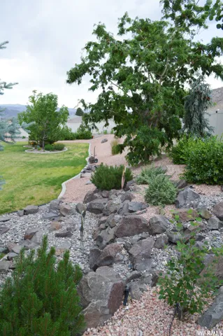 View of grassy yard