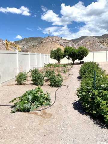 Fenced backyard with a mountain view and a garden