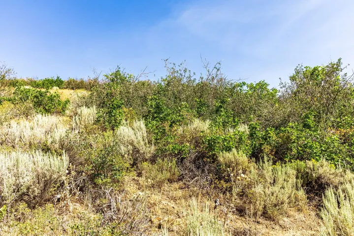13610 N Deer Canyon Dr, Kamas, Utah 84036