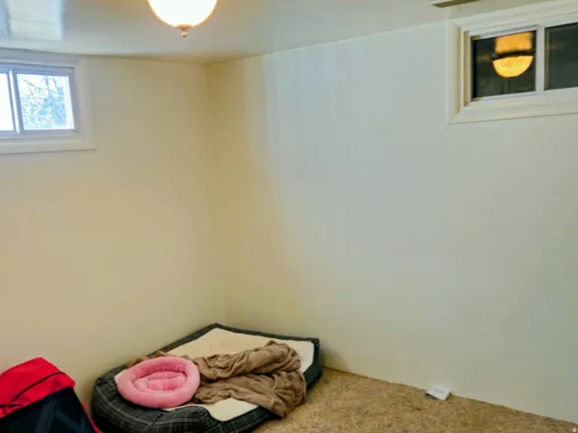 Unfurnished bedroom with carpet flooring