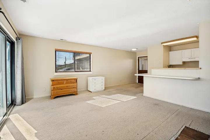 Living area featuring carpet flooring, a large sliding glass door, a window with blinds, and a kitchen pass-through with a breakfast bar