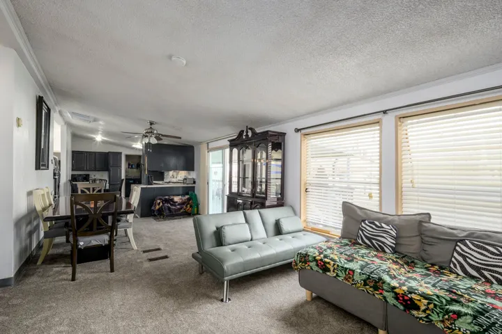 Living area with carpet floors, a textured ceiling, and a ceiling fan
