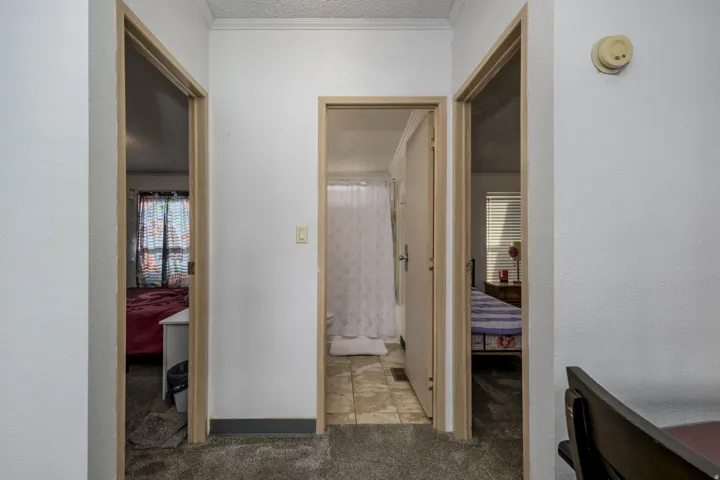 Hallway featuring ornamental molding, light carpet, and a textured wall