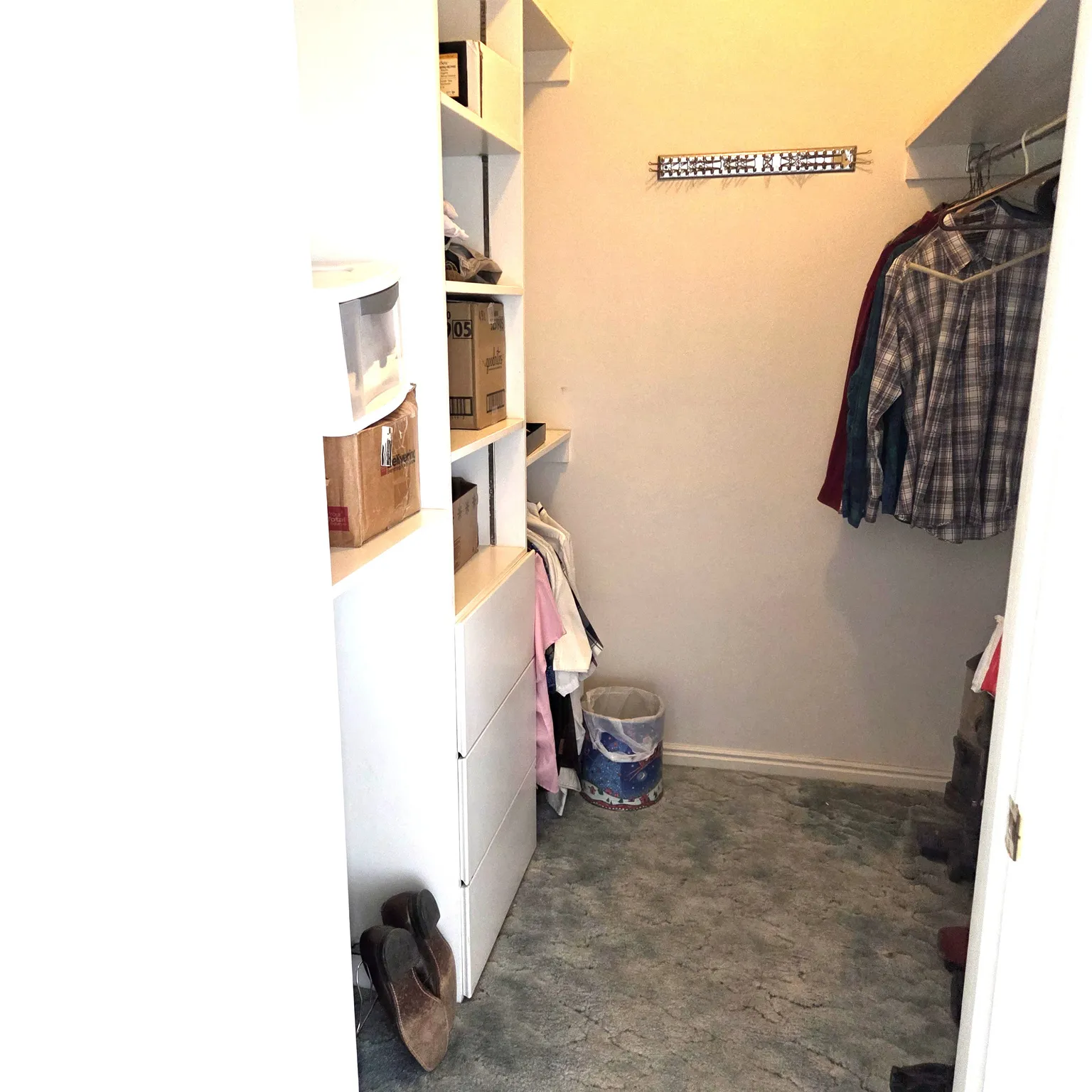 Walk in closet featuring dark carpet