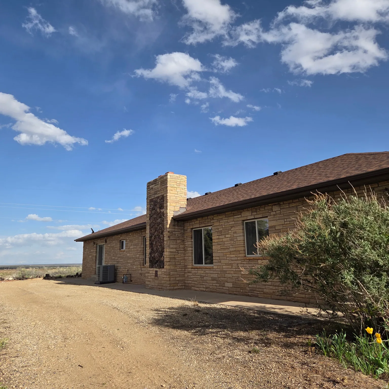 Rear view of property featuring a chimney and roof with shingles