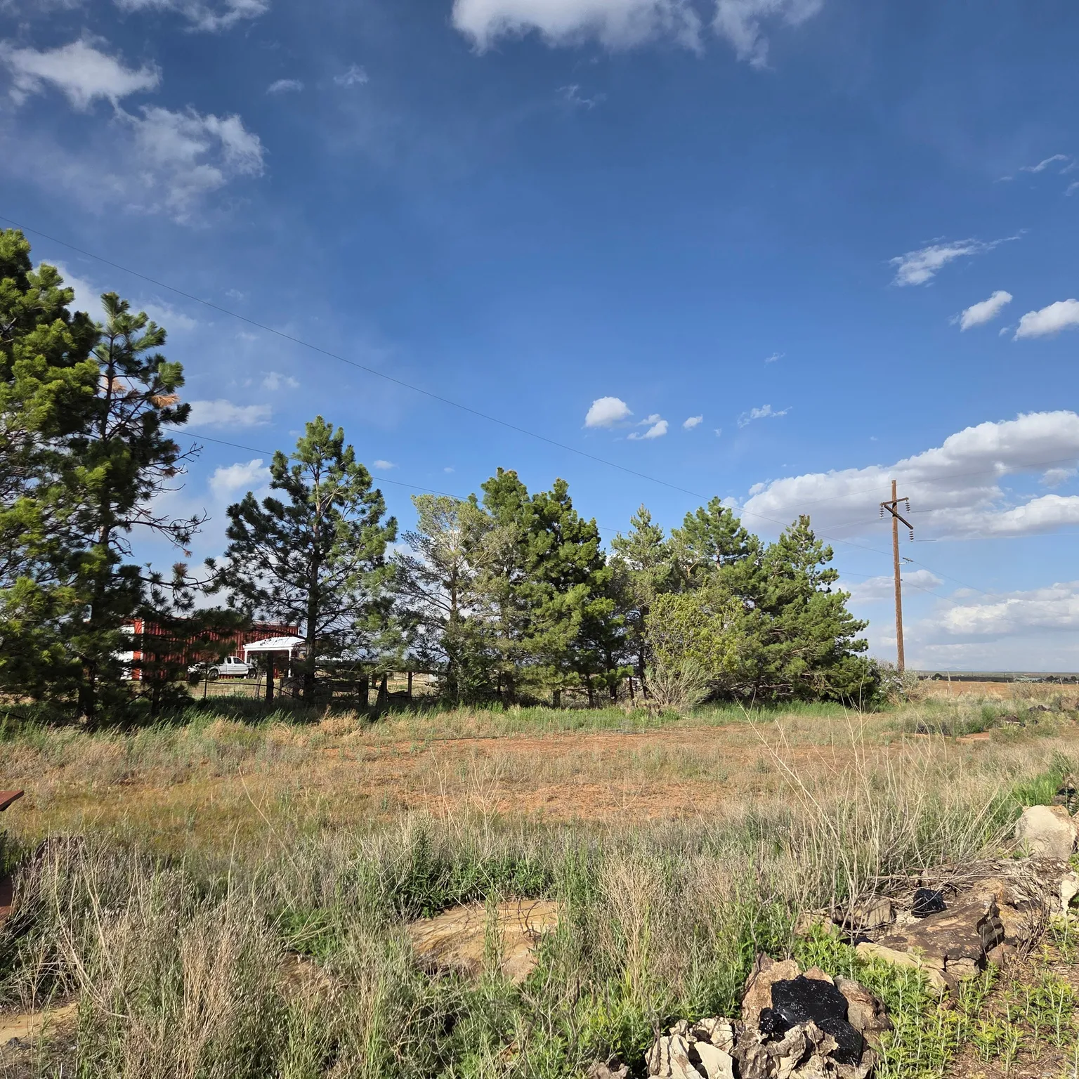 View of undeveloped land