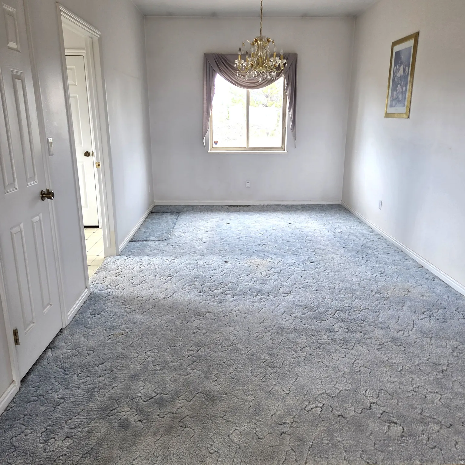 Carpeted spare room featuring suspended lighting and baseboards