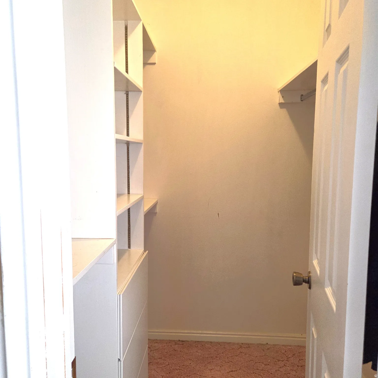 Walk in closet featuring light carpet