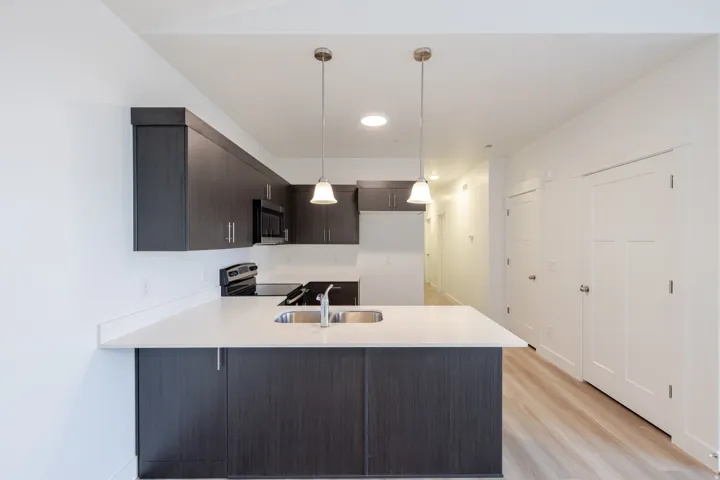 Contemporary kitchen featuring dark wood-finish cabinetry, light-toned countertops, and stainless steel appliances