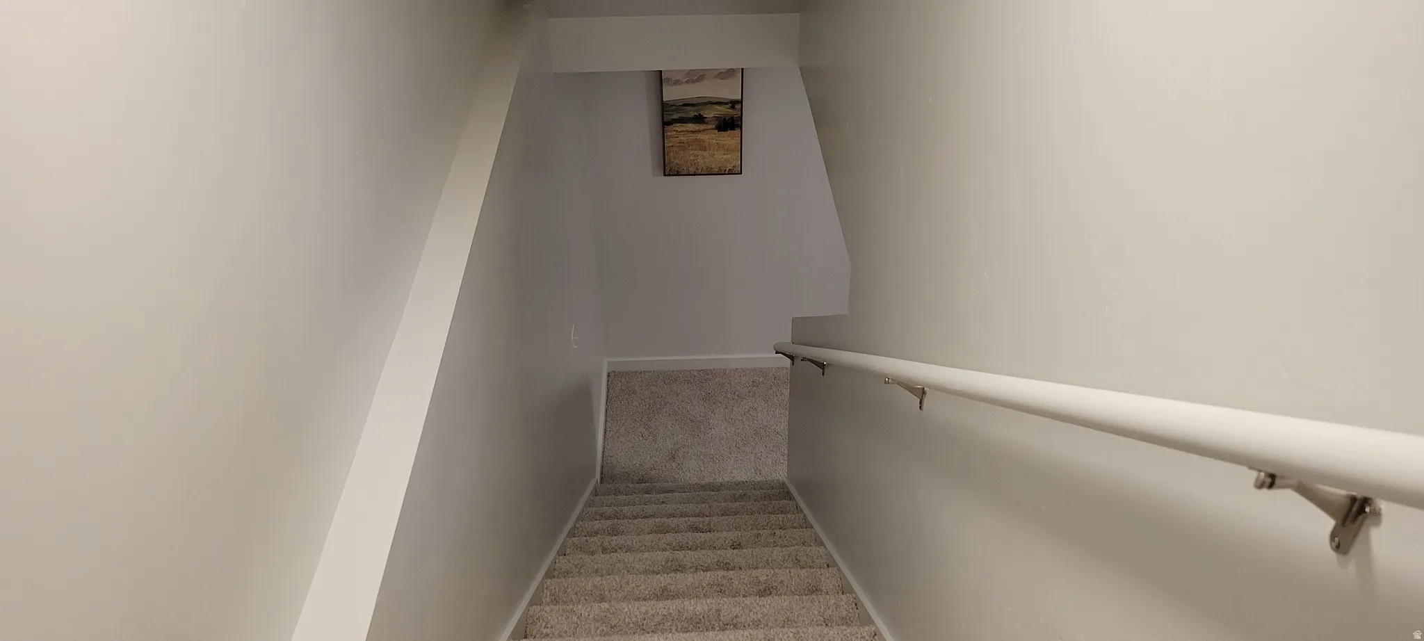 Staircase leading to the basement with new carpet