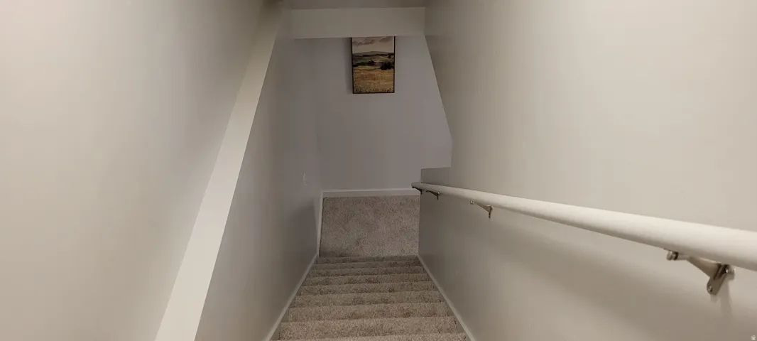 Staircase leading to the basement with new carpet