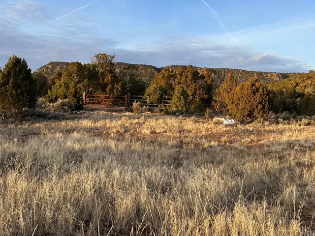 Mountain view featuring rural landscape