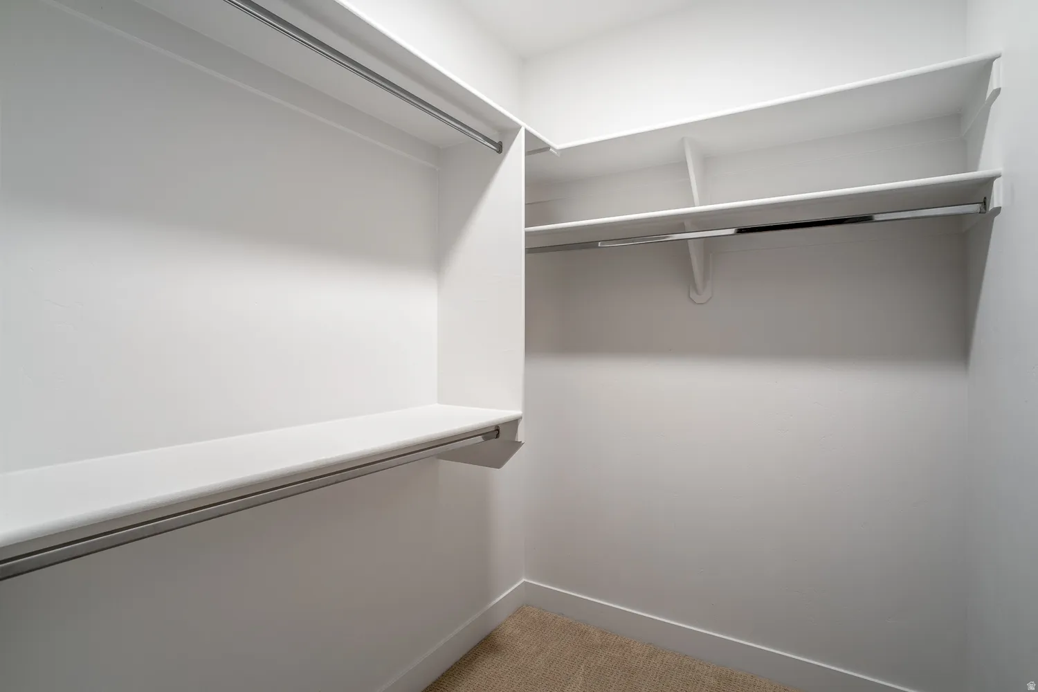 Walk in closet with light carpet