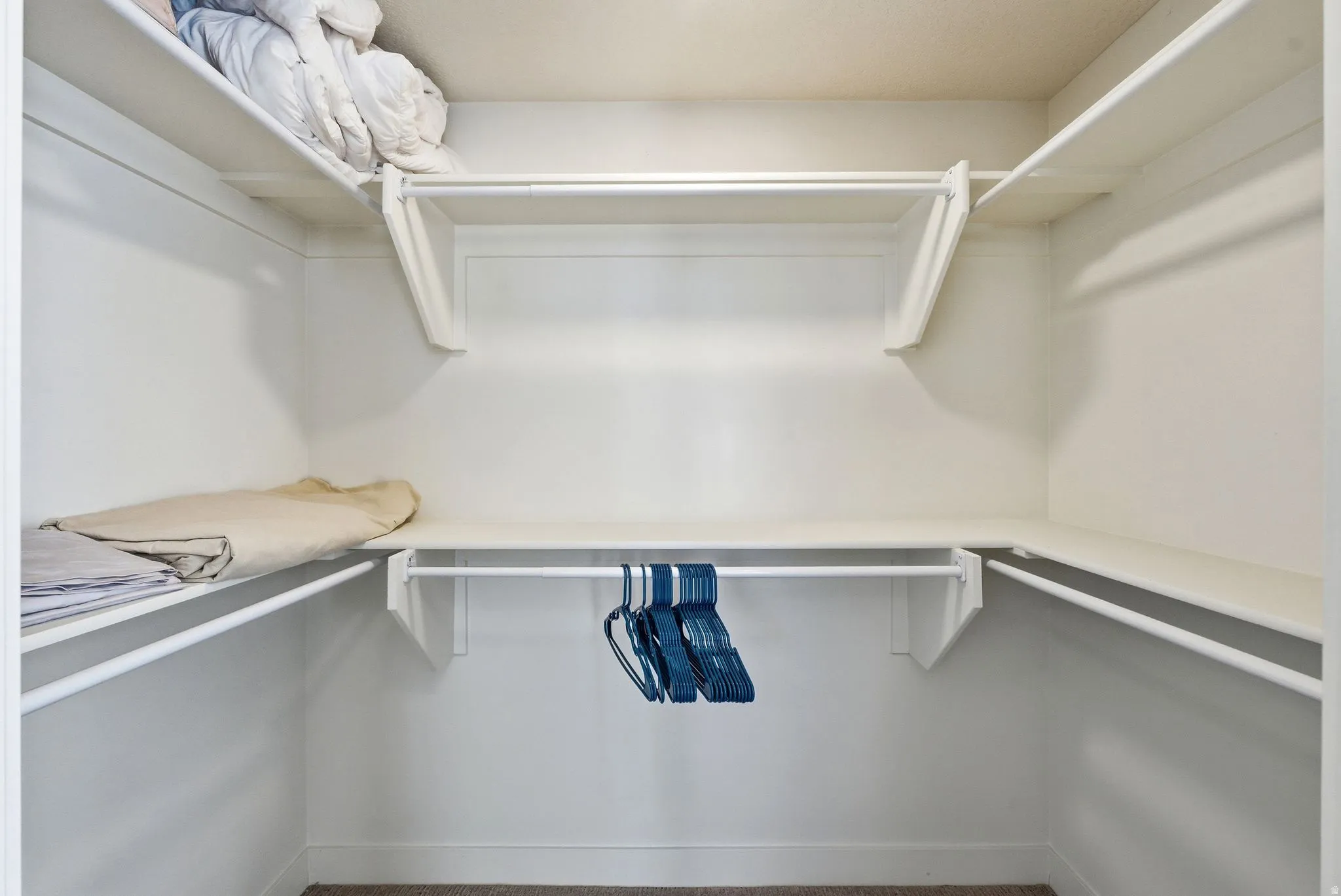 Spacious closet featuring carpet flooring