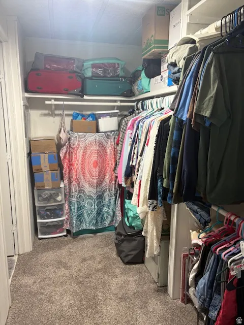 Walk in closet featuring carpet floors