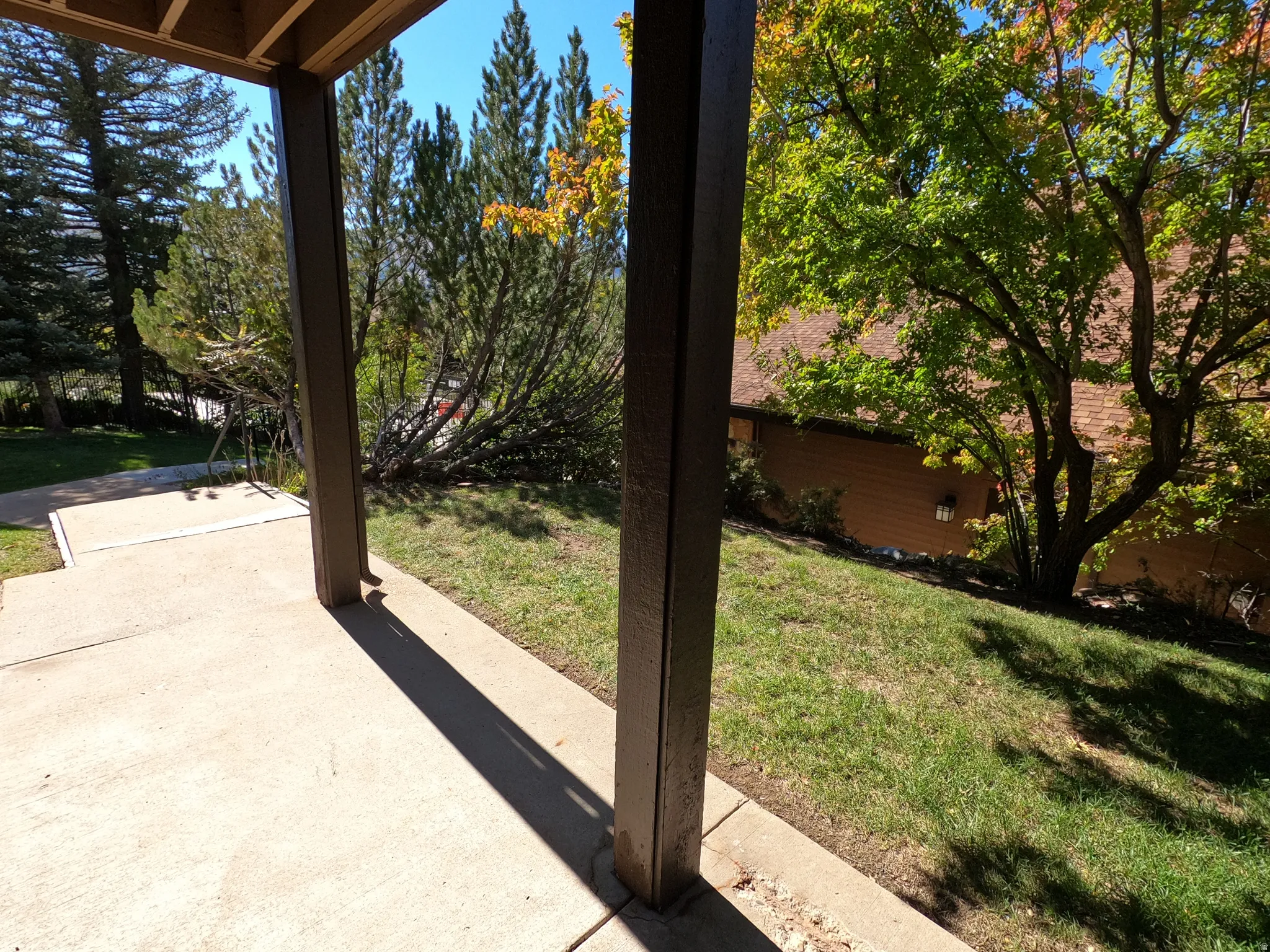 View of green lawn